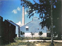 Central Punta Alegre.jpg
